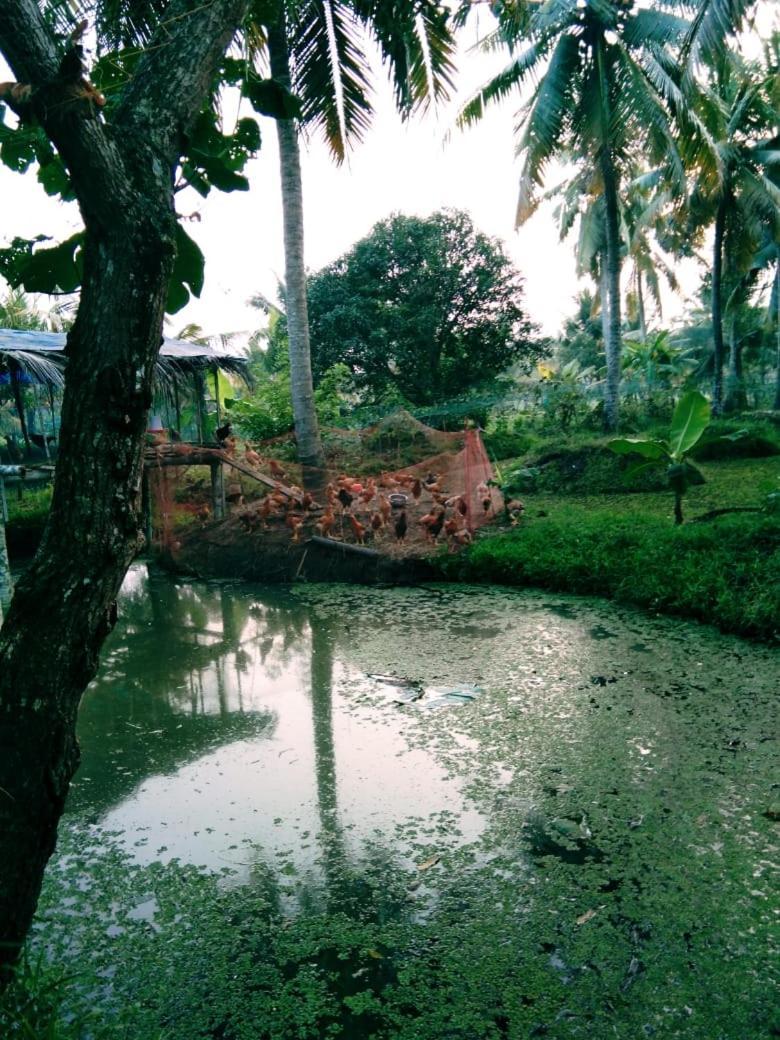 Thomman'S Farm Stay Kottayam Eksteriør bilde