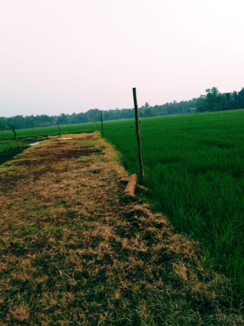 Thomman'S Farm Stay Kottayam Eksteriør bilde