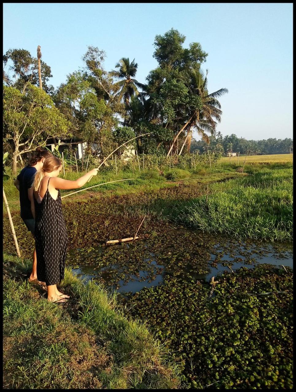 Thomman'S Farm Stay Kottayam Eksteriør bilde