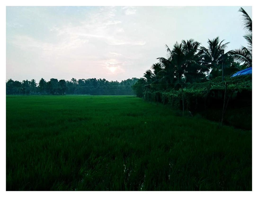 Thomman'S Farm Stay Kottayam Eksteriør bilde