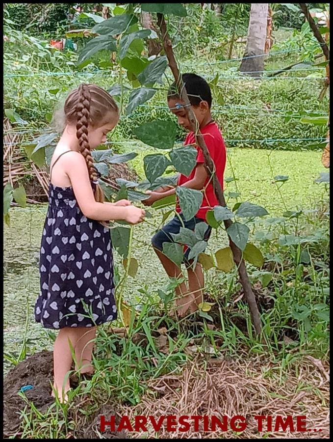 Thomman'S Farm Stay Kottayam Eksteriør bilde